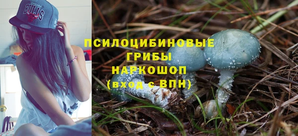 тгк Алексеевка